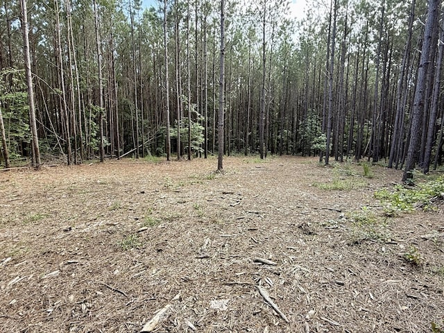 910 Seiber Ridge Rd, Hohenwald, TN 38462 - photo 7