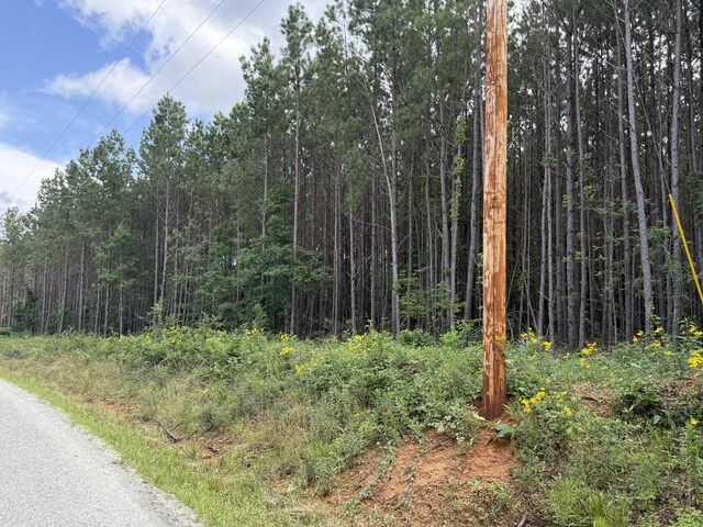 910 Seiber Ridge Rd, Hohenwald, TN 38462 - photo 25