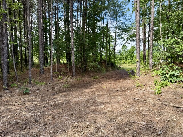 910 Seiber Ridge Rd, Hohenwald, TN 38462 - photo 22