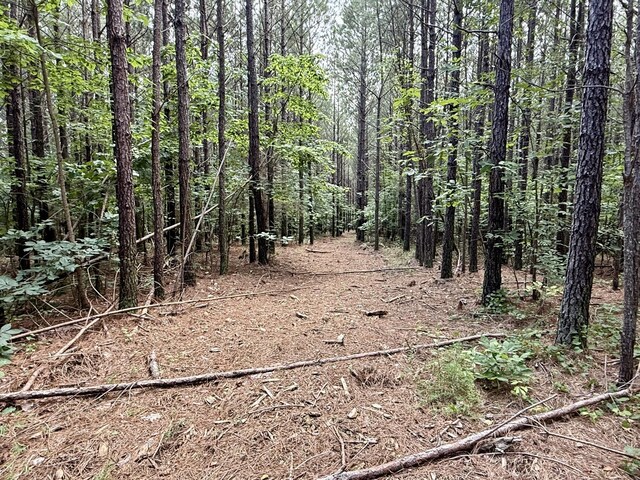 910 Seiber Ridge Rd, Hohenwald, TN 38462 - photo 15