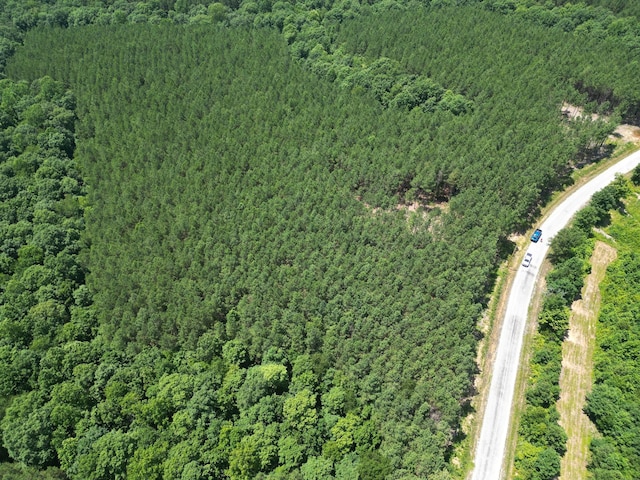 910 Seiber Ridge Rd, Hohenwald, TN 38462 - photo 3