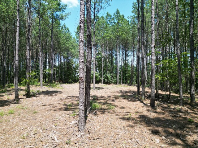 910 Seiber Ridge Rd, Hohenwald, TN 38462 - photo 31
