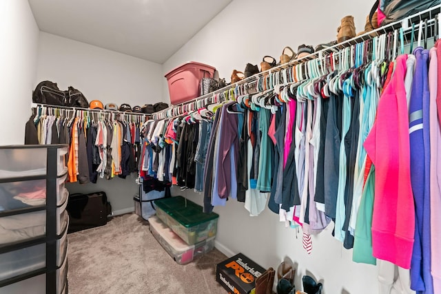 2529 Precast Dr, Columbia, TN 38401 - spacious closet with carpet flooring