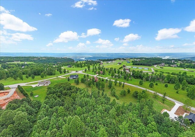 150 Raulston Falls Rd, Jasper, TN 37347 - photo 46