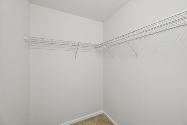 354 Arapaho Dr, Murfreesboro, TN 37128 - spacious closet with light colored carpet