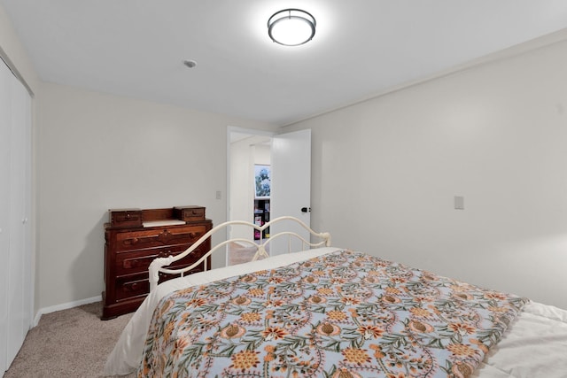 106 Dellrose Dr, Nashville, TN 37214 - bedroom with light colored carpet and a closet