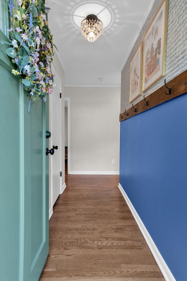 106 Dellrose Dr, Nashville, TN 37214 - hall featuring crown molding and wood finished floors
