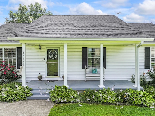 4768 Lewisburg Hwy, Pulaski, TN 38478 - photo 5