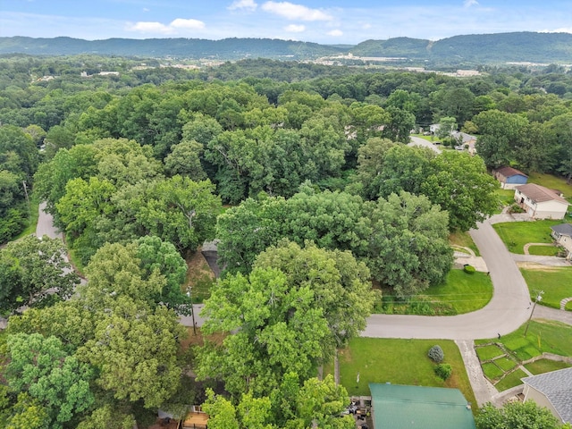 300 Marion Dr, Ringgold, GA 30736 - photo 30