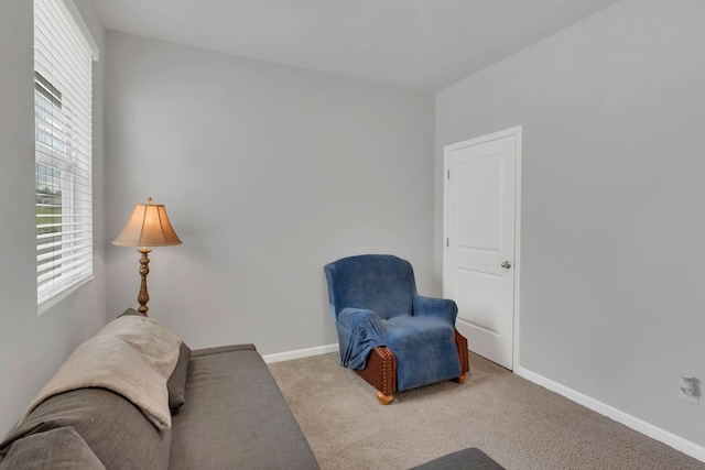 1113 Woodbridge Blvd, Lebanon, TN 37090 - photo 26
