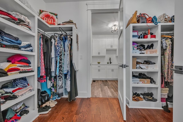 445 Old Pond Ln, Dickson, TN 37055 - walk in closet featuring wood finished floors and a sink