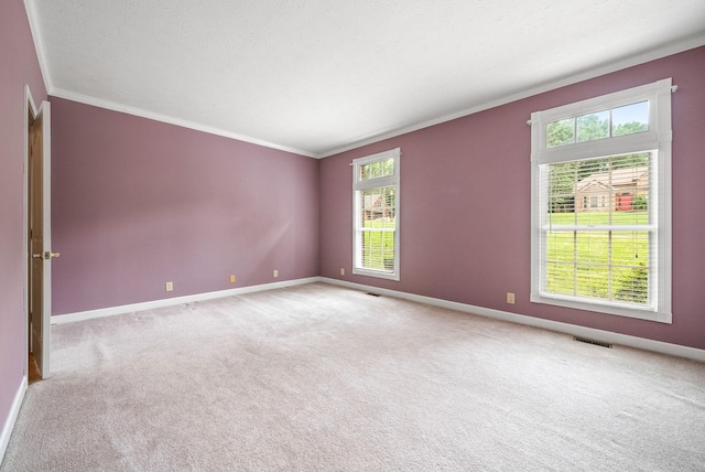 2118 Queens Bluff Way, Clarksville, TN 37043 - photo 39