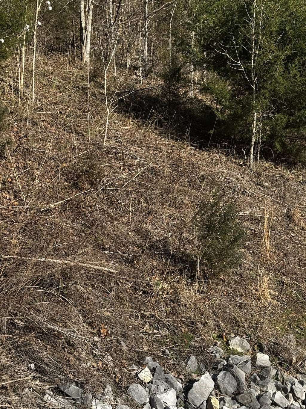 92 Shoreside Dr, Smithville, TN 37166
