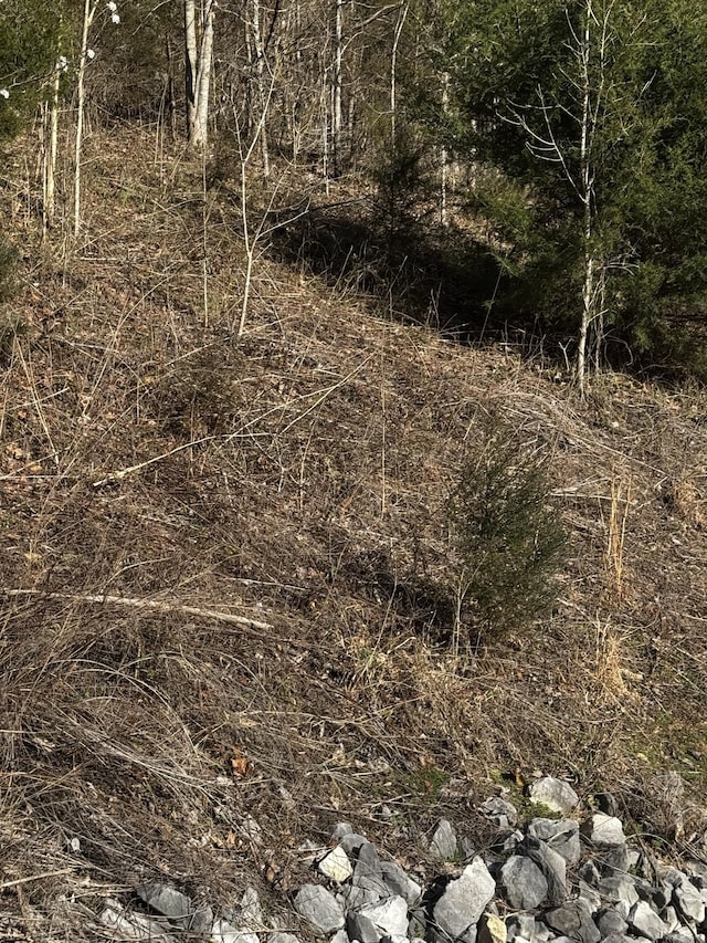 92 Shoreside Dr, Smithville, TN 37166