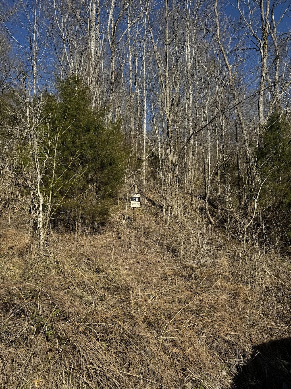 92 Shoreside Dr, Smithville, TN 37166