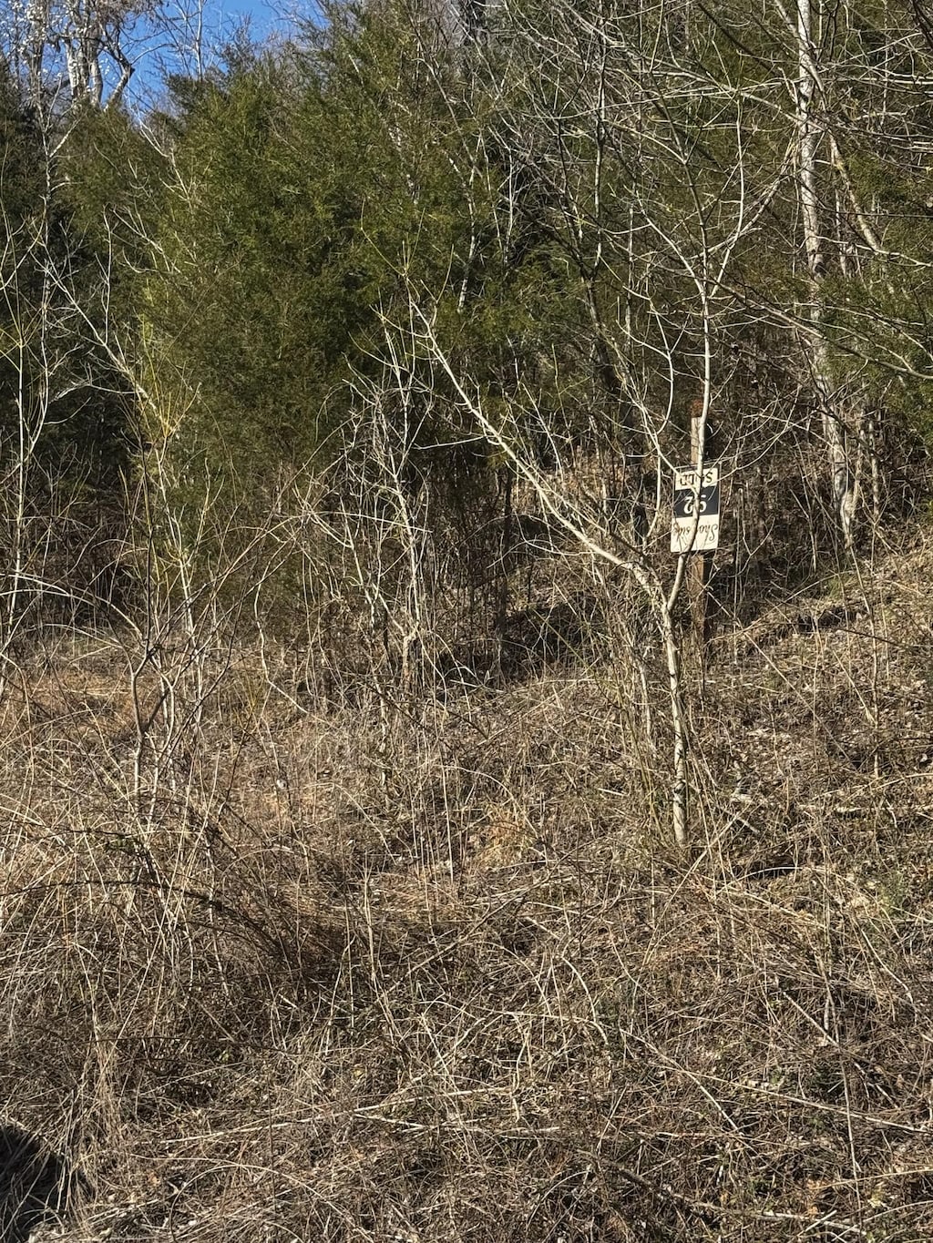 92 Shoreside Dr, Smithville, TN 37166