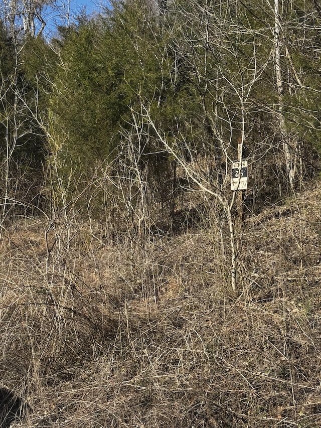 92 Shoreside Dr, Smithville, TN 37166