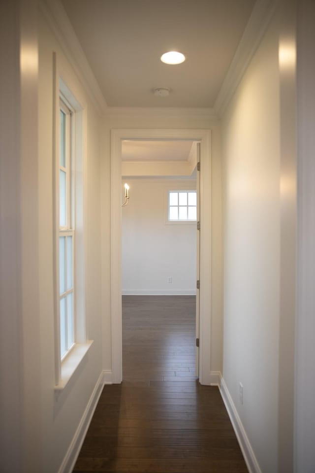 1023 Echelon Dr, Franklin, TN 37064 - corridor featuring ornamental molding and dark wood-style flooring
