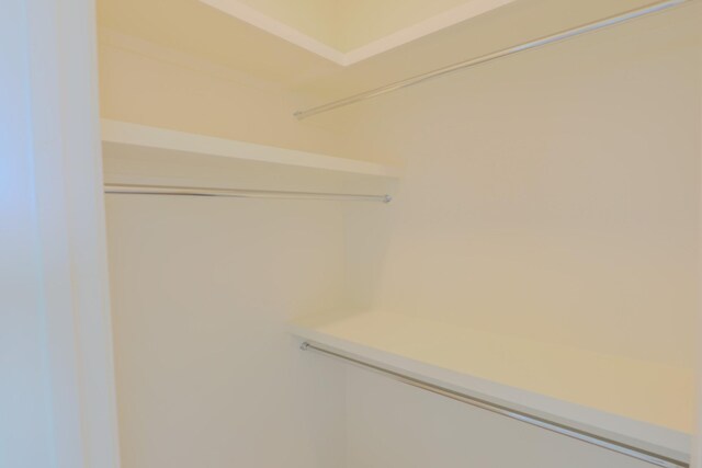 1023 Echelon Dr, Franklin, TN 37064 - view of spacious closet