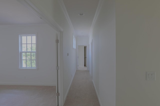 1023 Echelon Dr, Franklin, TN 37064 - corridor with ornamental molding and light colored carpet