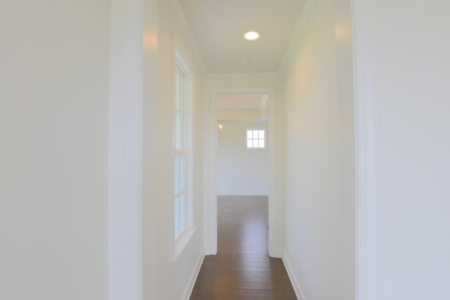 1023 Echelon Dr, Franklin, TN 37064 - hall featuring dark wood-style flooring, crown molding, and recessed lighting