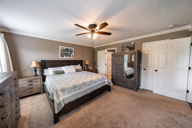201 Blueberry St, White House, TN 37188 - photo 9