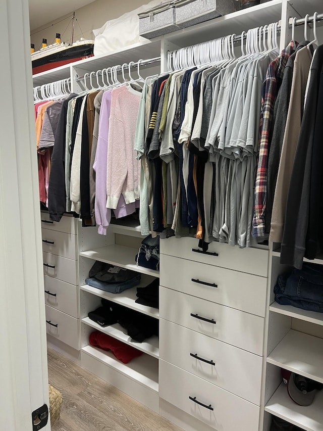 108 Chase Bend Rd, Estill Springs, TN 37330 - view of closet