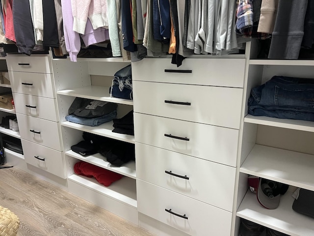 108 Chase Bend Rd, Estill Springs, TN 37330 - view of closet