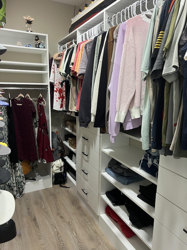 108 Chase Bend Rd, Estill Springs, TN 37330 - walk in closet featuring wood finished floors