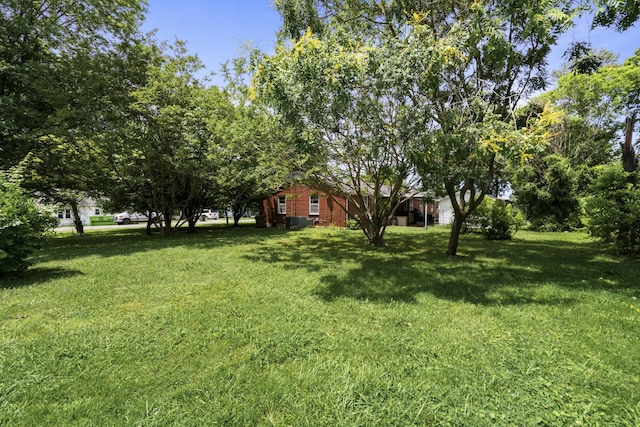 604 2nd Ave, Lawrenceburg, TN 38464 - view of green lawn