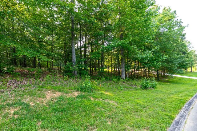 205 Nature Ridge Rd, Tullahoma, TN 37388 - view of yard