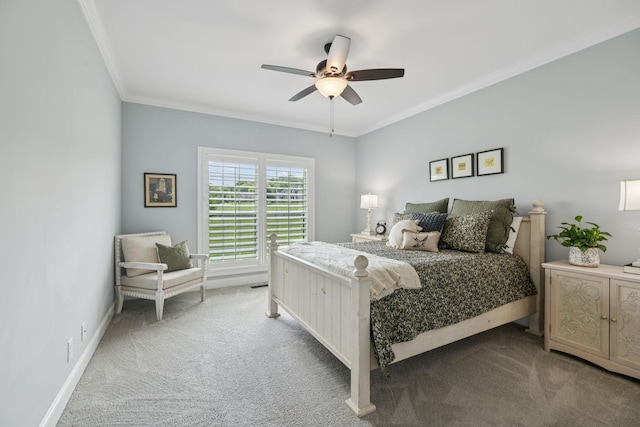 112 Nestledown Xing, Bell Buckle, TN 37020 - photo 41