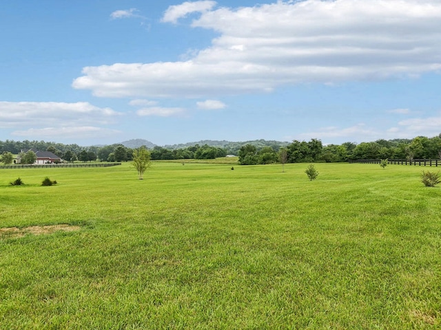 112 Nestledown Xing, Bell Buckle, TN 37020 - photo 68