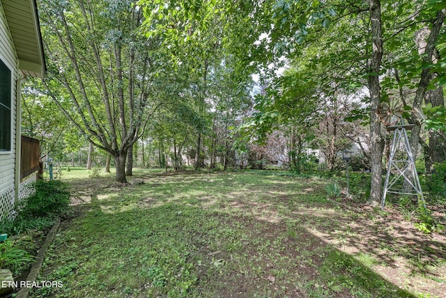 545 Snead Dr, Crossville, TN 38558 - photo 31