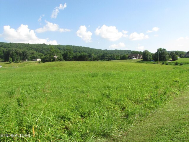 0 Edgewood Dr, Sweetwater, TN 37874 - photo 7