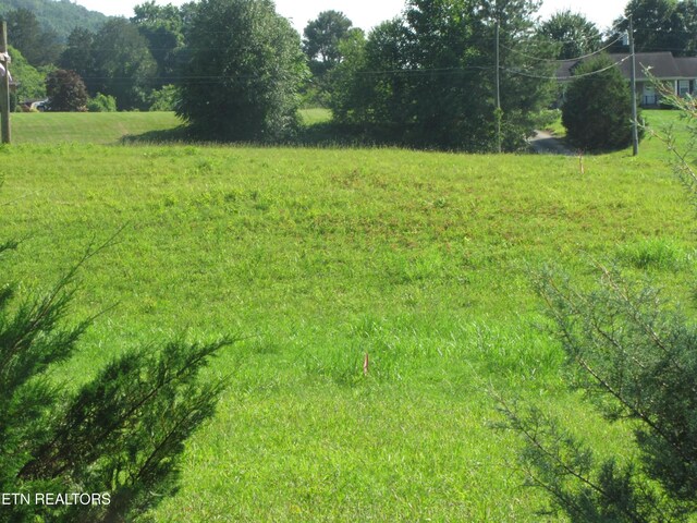 0 Edgewood Dr, Sweetwater, TN 37874 - photo 5