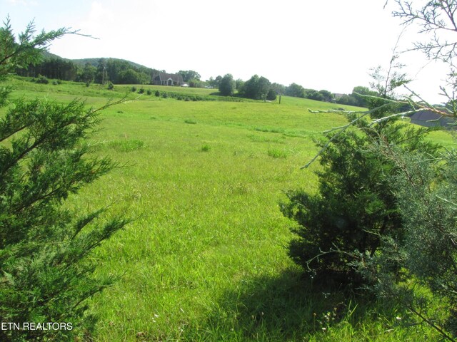 0 Edgewood Dr, Sweetwater, TN 37874 - photo 8