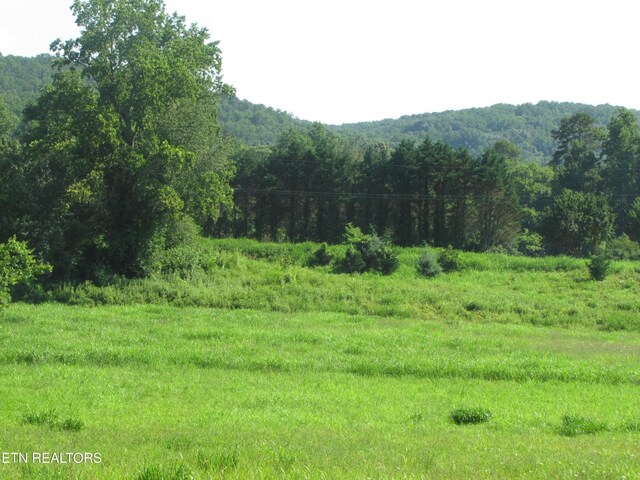 0 Edgewood Dr, Sweetwater, TN 37874 - photo 9