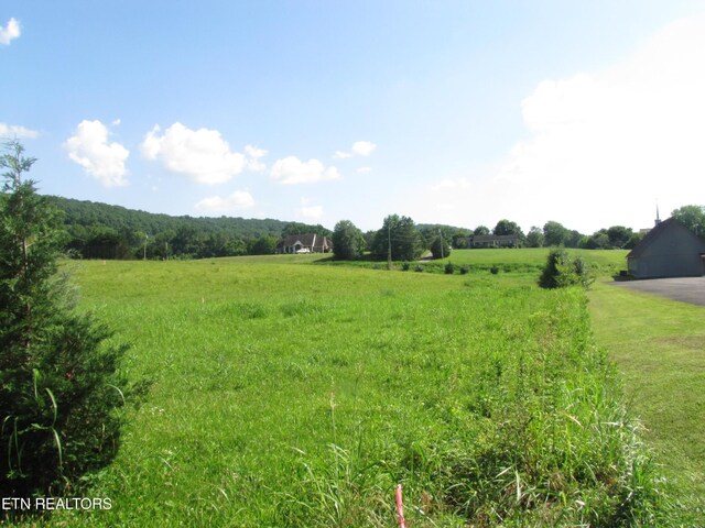 0 Edgewood Dr, Sweetwater, TN 37874 - photo 6
