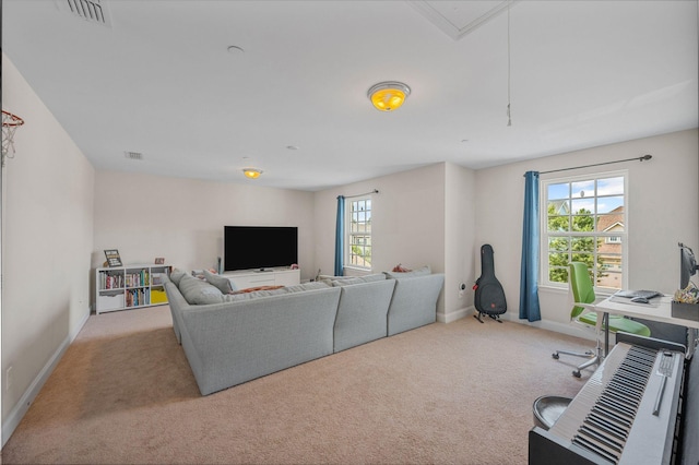 312 Rafferty Ct, Franklin, TN 37064 - carpeted living room with baseboards and attic access