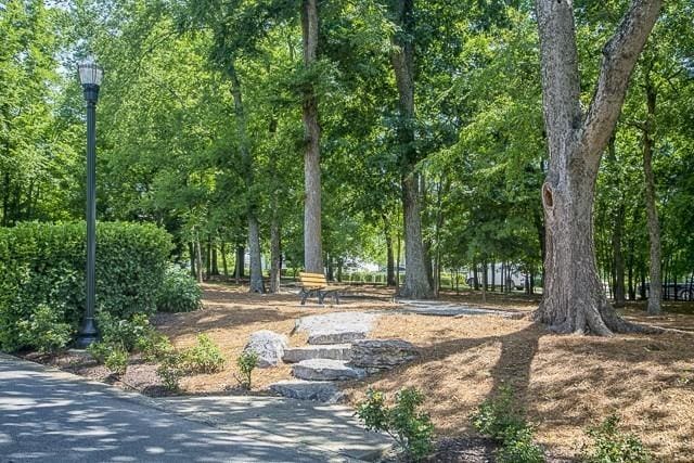 312 Rafferty Ct, Franklin, TN 37064 - view of property's community