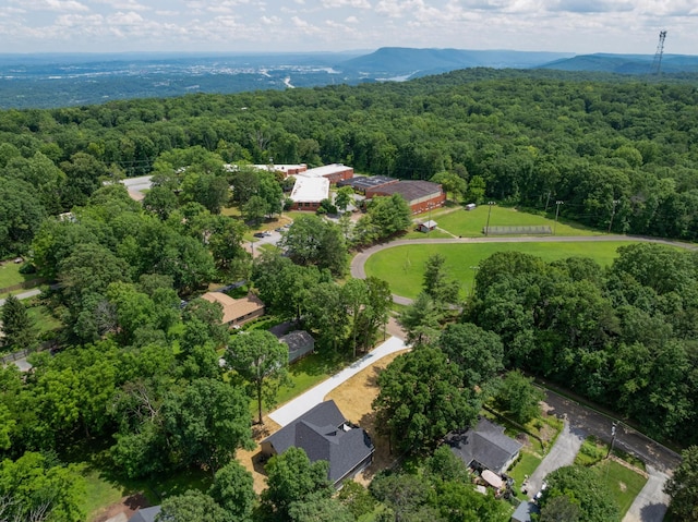 414 Ault Rd, Signal Mountain, TN 37377 - drone / aerial view of a heavily wooded area