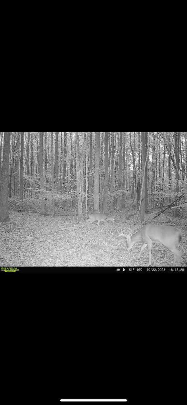 428 Eagle Rd, Buchanan, TN 38222 - photo 32
