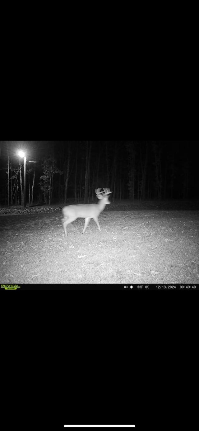 428 Eagle Rd, Buchanan, TN 38222 - photo 26