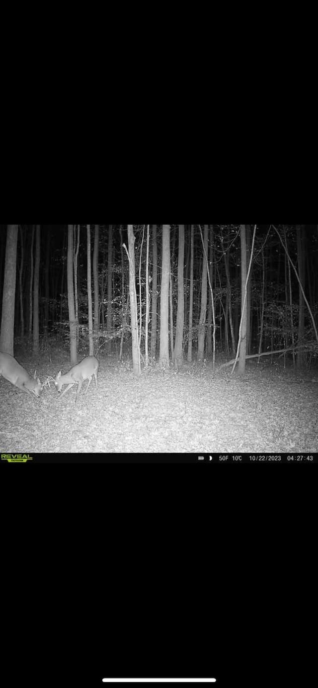 428 Eagle Rd, Buchanan, TN 38222 - photo 31