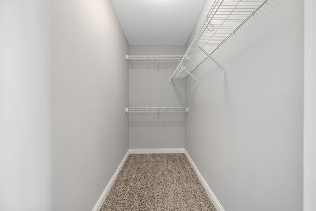 141 Bob White Trl, Oak Grove, KY 42262 - walk in closet with carpet floors
