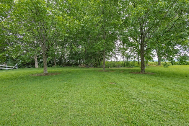 218 Susie Dr, Winchester, TN 37398 - view of yard