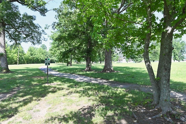 7050 Scotlyn Way, White House, TN 37188 - view of green lawn