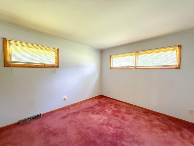 115 Horseshoe St, Pulaski, TN 38478 - unfurnished room with ornamental molding and carpet