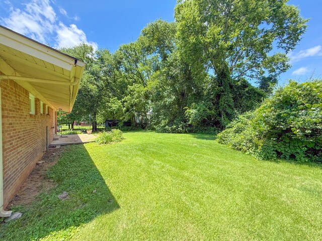 115 Horseshoe St, Pulaski, TN 38478 - view of green lawn